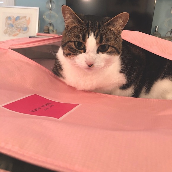 Meet your Posher, Jeannie - Picture 1 of 2